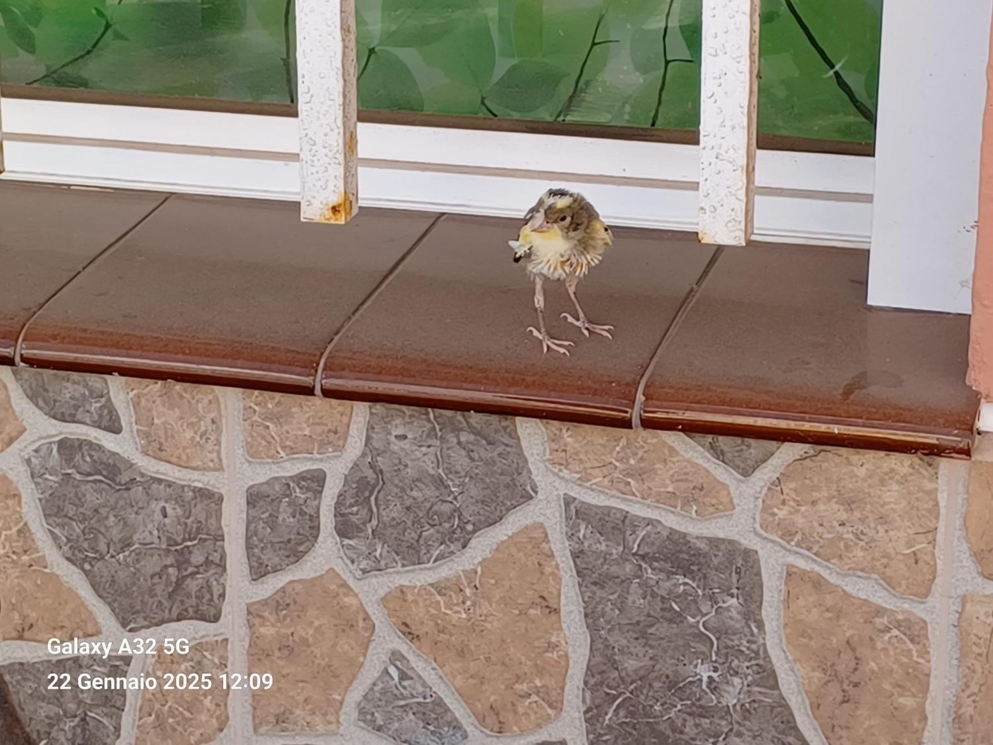 Gioly Accommodatie bij particulieren Puerto del Rosario (Fuerteventura)